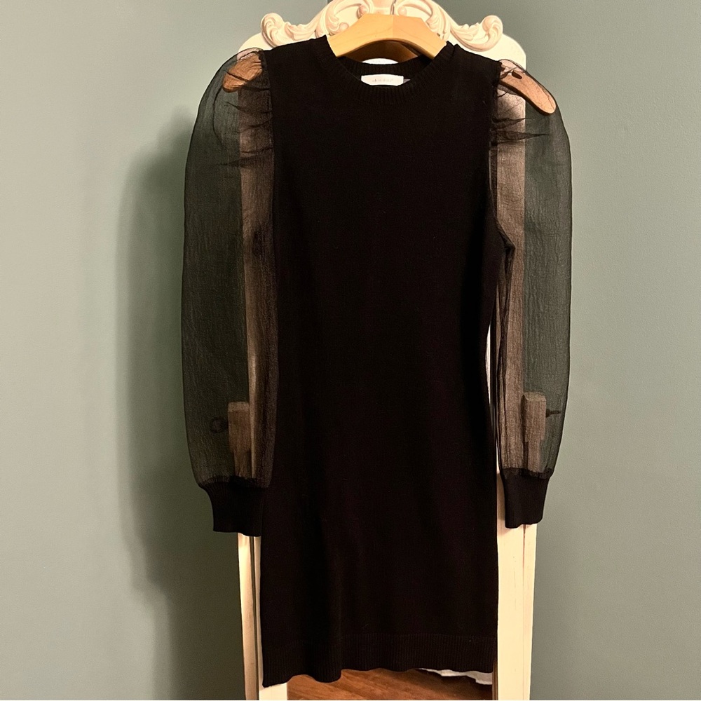 Black Sweater Dress with Sheer Sleeves